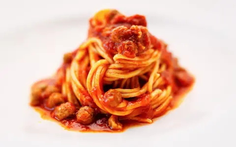 Un piatto di spaghetti alla teramana, conditi con un ricco sugo di pomodoro e polpettine, serviti su un piatto bianco.