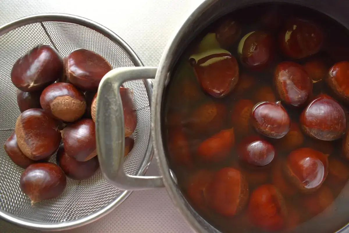 Castagne bollite con buccia in un pentolino e altre in un colino. Un assaggio d'autunno pronto per essere gustato.