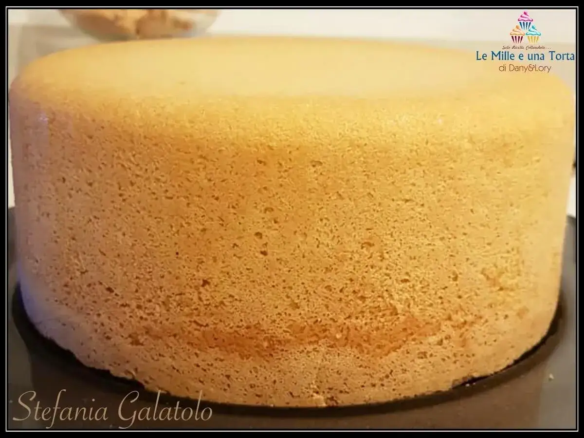 Un soffice pan di spagna senza glutine, perfetto per ogni dolce creazione. La sua consistenza ariosa è ideale per torte e semifreddi.