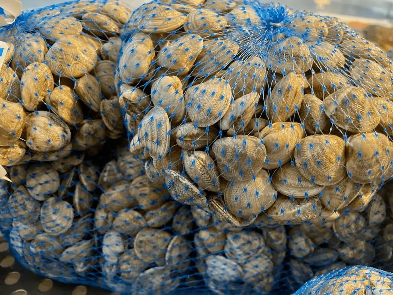 Sacchi di rete blu pieni di lupini di mare freschi, pronti per essere cucinati.